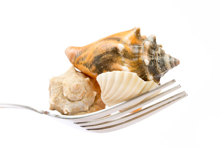 Seafood on fork. White background
