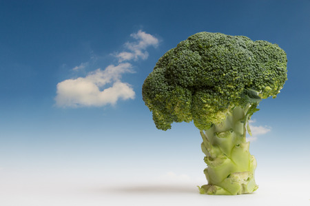 Tree of broccoli. Fantasy Landscapeの写真素材