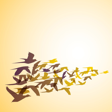 Vector Abstract swallows backgroundのイラスト素材