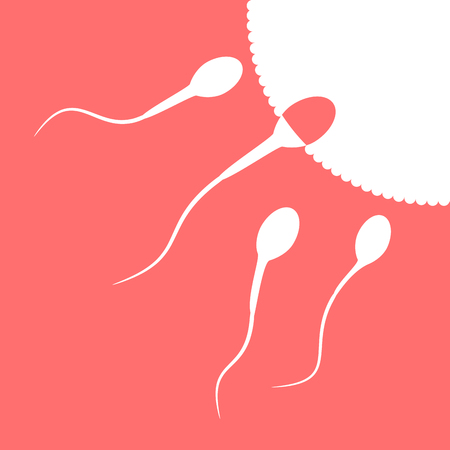 Human sperm cell and male fertilityのイラスト素材