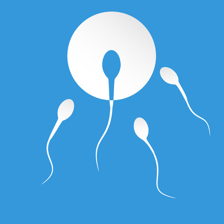 Human sperm cell and male fertilityのイラスト素材
