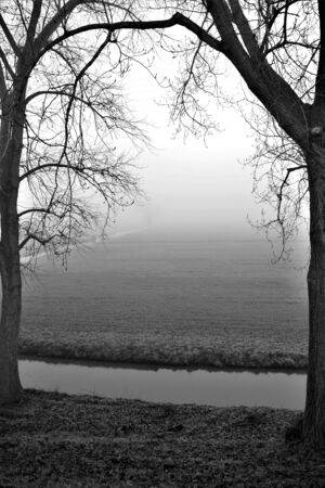2 bare trees with foggy meadow and ditch black and whiteの写真素材