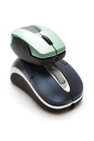 A big mouse carrying small mouse on white background.