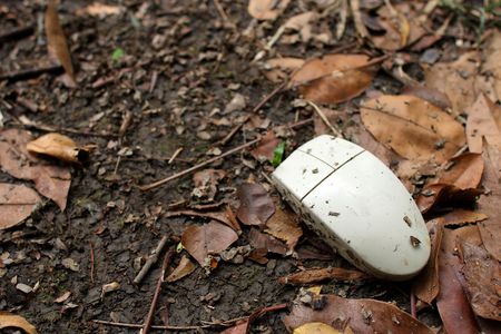 A mouse throw away on fallen leaf.の写真素材