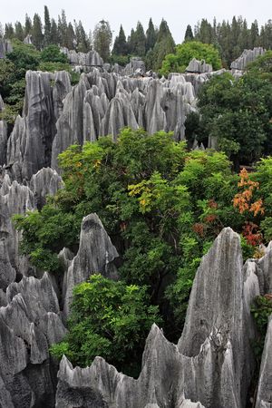 Scenery view at Shilin Stone Forest of Kunming, Yunnan, China.の写真素材