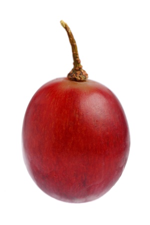 Close up of a red grape isolated on white background.の写真素材