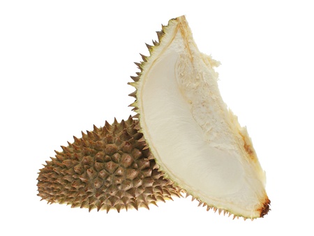 Close up of durian shell isolated on white background.の写真素材