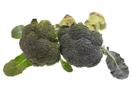 Close up of broccoli vegetable の写真素材