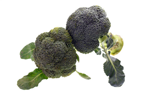 Close up of broccoli vegetable の写真素材