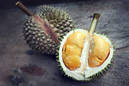 Close up of durian with orange yellowish flesh.の写真素材