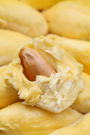 Close up of peeled yellow durian flesh.の写真素材