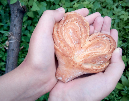 Bun in the shape of heart in children's hands on the background of grassの写真素材