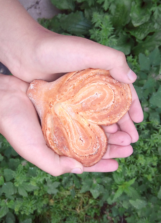 Bun in the shape of heart in children's hands on the background of grassの写真素材