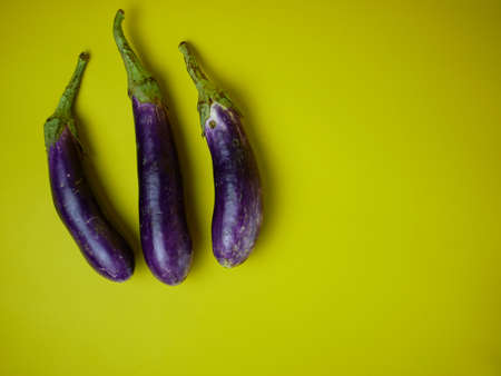 Eggplant or Solanum melongena isolated on a yellow background. for the concept of healthy food and vegetablesの写真素材