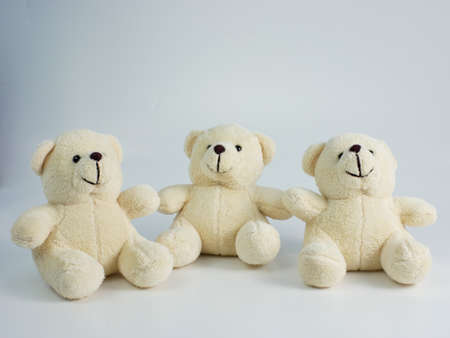three teddy bears isolated on a white backgroundの写真素材