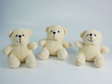 three teddy bears isolated on a white backgroundの写真素材