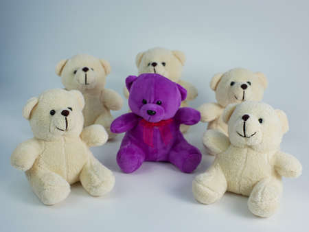 group of teddy bears isolated on a white backgroundの写真素材
