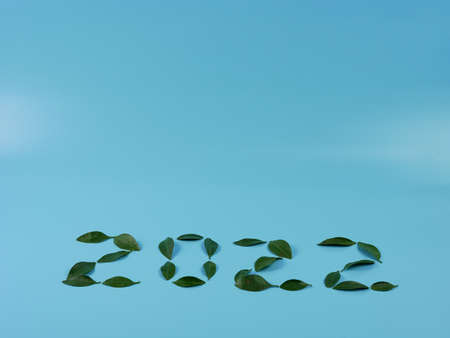 idea and creative number 2022, leaves on a blue backgroundの写真素材