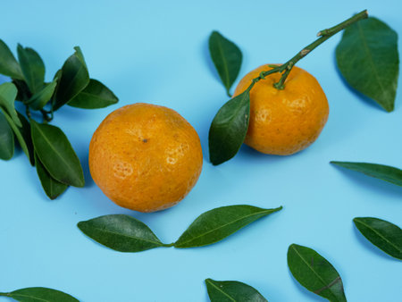 orange or Citrus sp with its leaves isolated on a blue background. healthy fruitの写真素材