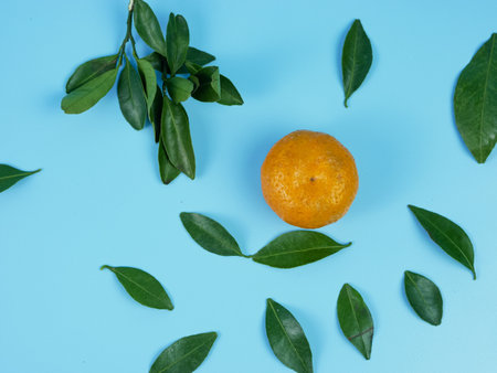 orange or Citrus sp with its leaves isolated on a blue background. healthy fruitの写真素材