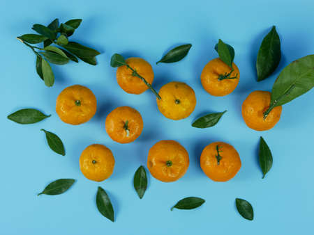 orange or Citrus sp with its leaves isolated on a blue background. healthy fruitの写真素材