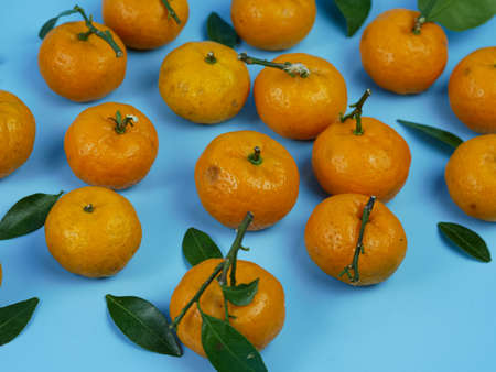 orange or Citrus sp with its leaves isolated on a blue background. healthy fruitの写真素材