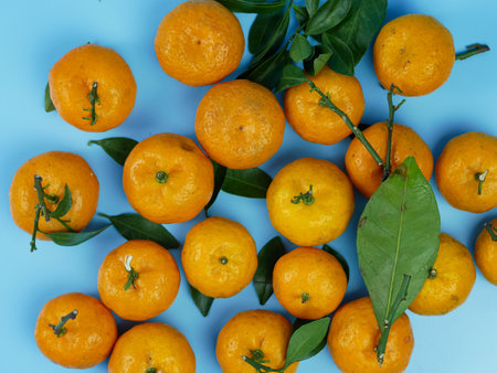 orange or Citrus sp with its leaves isolated on a blue background. healthy fruitの写真素材
