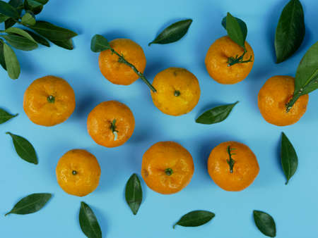 orange or Citrus sp with its leaves isolated on a blue background. healthy fruitの写真素材