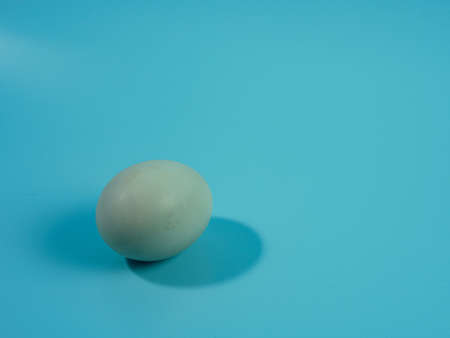 blue egg isolated on a blue background.の写真素材