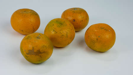isolated oranges on a white background. citrus fruits. healthy fruit concept.の写真素材