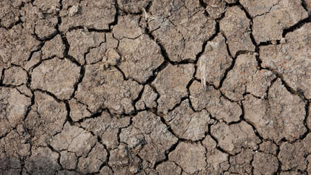 cracked brown dry soil texture.の写真素材