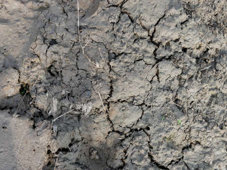 cracked brown dry soil texture.