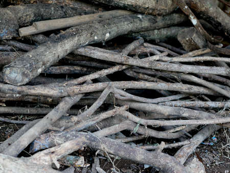 pile of tree branches, used for firewood.