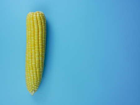 corn on a blue background. healthy vegetable concept with copy space.の写真素材