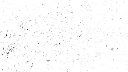 transparent speckled paper texture background with copy space for text or image. Vintage Grain.