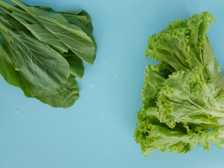 fresh lettuce and choy sum isolated on blue backgroundの写真素材