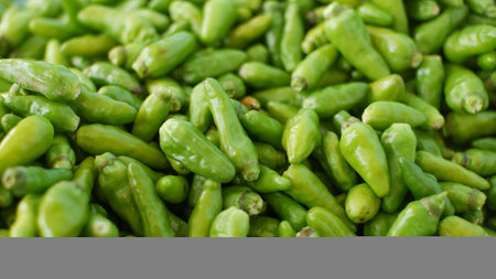 pile of green cayenne pepperの写真素材