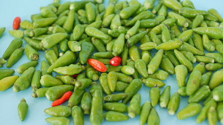 pile of green cayenne pepperの写真素材