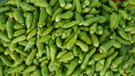 pile of green cayenne pepperの写真素材
