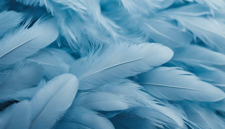Close up of blue feathers as background.の素材
