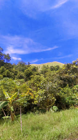 landscape in the mountains, in villages, in Indonesian mountainsの写真素材