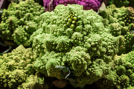 Close up of a Romanesco Cauliflower, also called romanesco broccoli, which a crazy wild looking food often used in gourmet dishes.  Isolated.の写真素材