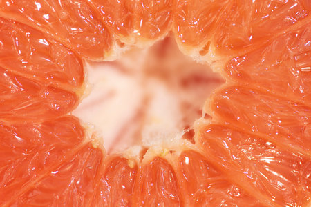 single grapefruit cut in half macro photageの写真素材