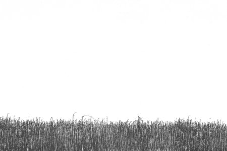 background with horizontal chaotic lines marginの写真素材