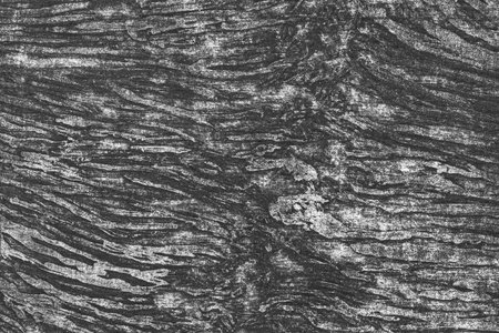 chaotic abstract black background with crumbled textureの写真素材