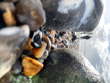 A closeup shot of pebbles under water with blurred background