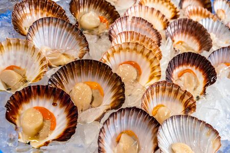 Close-up of multiple raw scallops in Sydney fish marketの写真素材