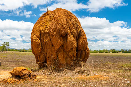 Isolated large termite mould in Queensland outback, Australiaの写真素材