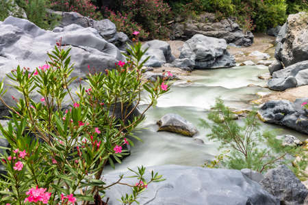 Long exposure image of Alcantara river in Sicily, Italyの写真素材