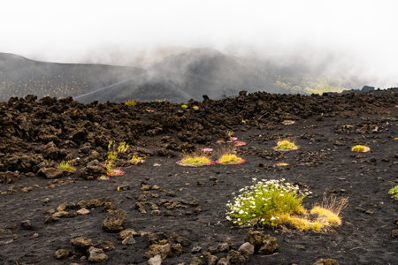 View of Etna volcano craters among the clouds near Rifugio Sapienza. Sicily, Italyの写真素材